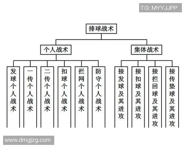 广州排球队快攻战术解析与技术特点深度剖析