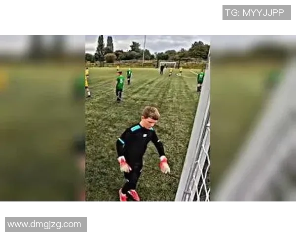 足球明星体育生的成长之路与职业生涯的精彩瞬间揭秘